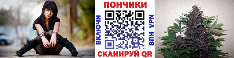 купить наркотики сайты Каменск-Шахтинский Каннабис тримм